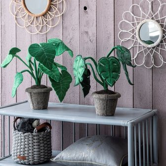 Vilten Monstera